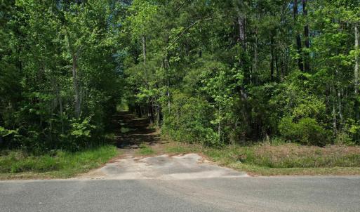 Photo #3 of TBD Cain Wilson Rd., Conway, SC 47.8 acres