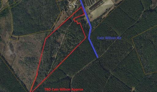 Photo #1 of TBD Cain Wilson Rd., Conway, SC 47.8 acres