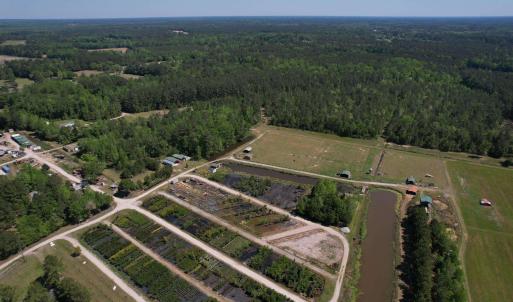 Photo #8 of TBD Cain Wilson Rd., Conway, SC 47.8 acres