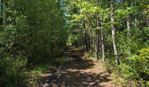 Photo #4 of TBD Cain Wilson Rd., Conway, SC 47.8 acres