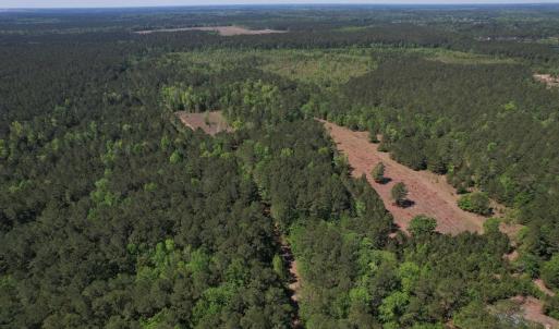 Photo #6 of TBD Cain Wilson Rd., Conway, SC 47.8 acres