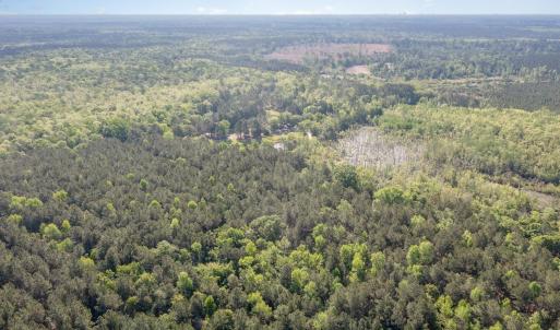 Photo #5 of TBD McNair Ln., Conway, SC 78.7 acres