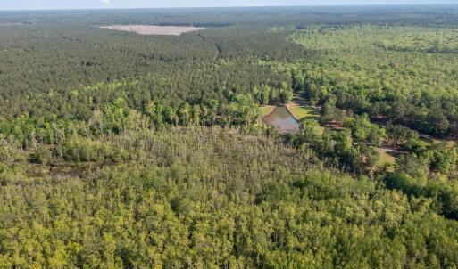 Photo #7 of TBD McNair Ln., Conway, SC 78.7 acres