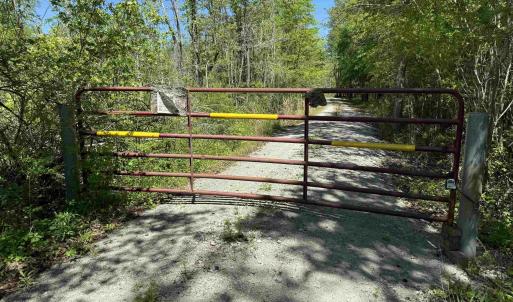 Photo #11 of TBD McNair Ln., Conway, SC 78.7 acres