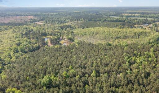 Photo #4 of TBD McNair Ln., Conway, SC 78.7 acres