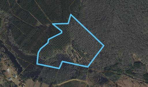 Photo #12 of TBD McNair Ln., Conway, SC 78.7 acres