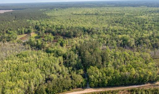 Photo #10 of TBD McNair Ln., Conway, SC 78.7 acres