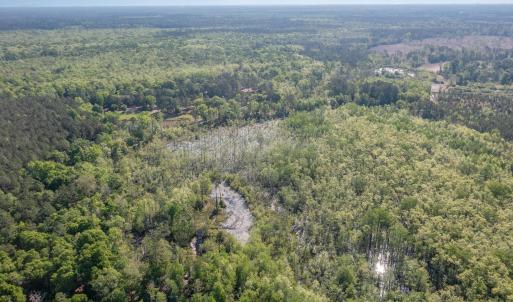 Photo #6 of TBD McNair Ln., Conway, SC 78.7 acres