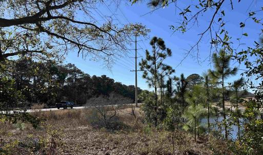 View of local wilderness featuring a water view