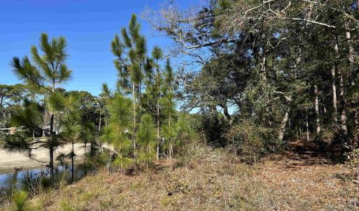 View of local wilderness featuring a water view