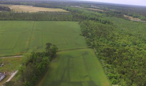 Photo #6 of TBD Fowler Rd., Conway, SC 47.5 acres
