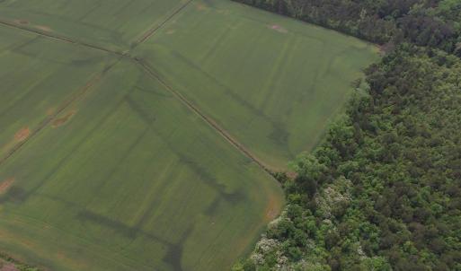 Photo #5 of TBD Fowler Rd., Conway, SC 47.5 acres