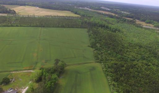Photo #4 of TBD Fowler Rd., Conway, SC 47.5 acres