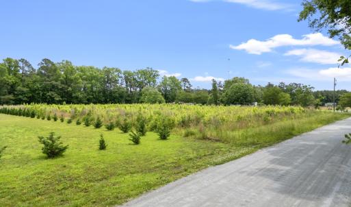 Photo #2 of TBD Dukes Rd., Conway, SC 7.7 acres