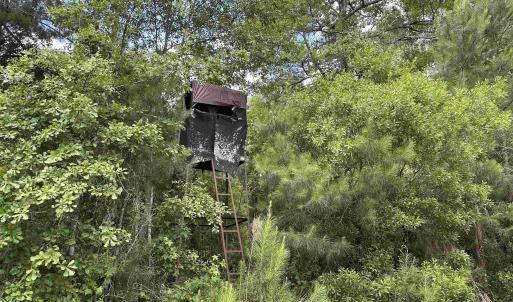 Photo #9 of TBD Easler Hwy, Greeleyville, SC 64.0 acres