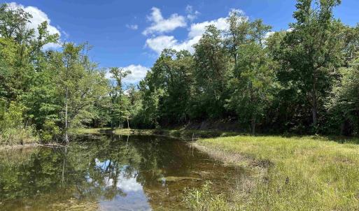 Photo #12 of TBD Easler Hwy, Greeleyville, SC 64.0 acres