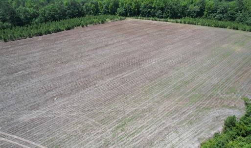 Photo #22 of TBD Easler Hwy, Greeleyville, SC 64.0 acres