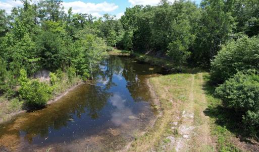 Photo #20 of TBD Easler Hwy, Greeleyville, SC 64.0 acres