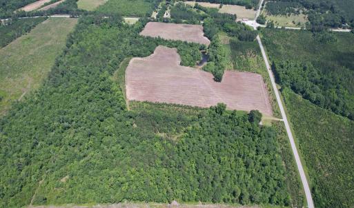 Photo #16 of TBD Easler Hwy, Greeleyville, SC 64.0 acres