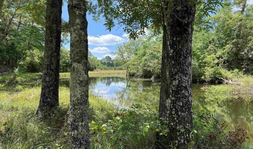 Photo #2 of TBD Easler Hwy, Greeleyville, SC 64.0 acres