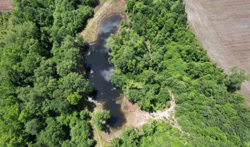 Photo #15 of TBD Easler Hwy, Greeleyville, SC 64.0 acres