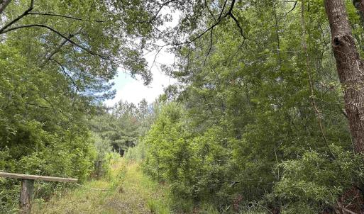 Photo #8 of TBD Easler Hwy, Greeleyville, SC 64.0 acres