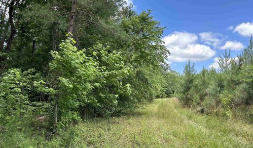 Photo #7 of TBD Easler Hwy, Greeleyville, SC 64.0 acres