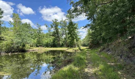 Photo #1 of TBD Easler Hwy, Greeleyville, SC 64.0 acres