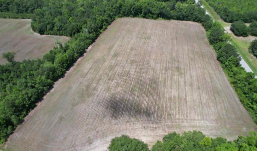Photo #18 of TBD Easler Hwy, Greeleyville, SC 64.0 acres