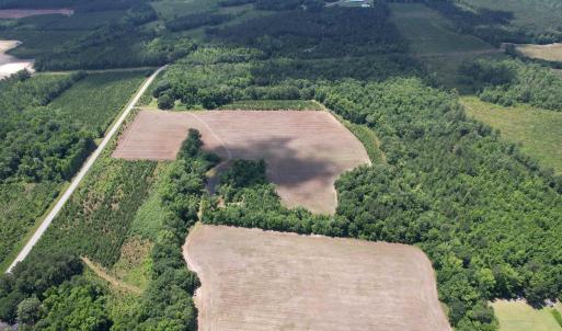 Photo #19 of TBD Easler Hwy, Greeleyville, SC 64.0 acres