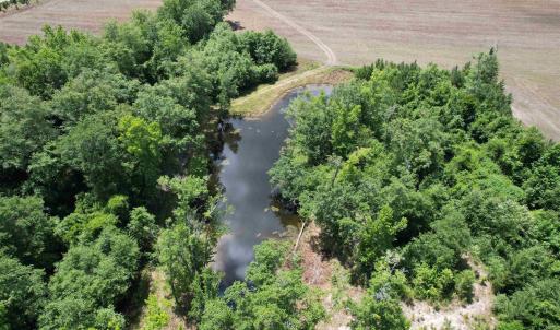 Photo #14 of TBD Easler Hwy, Greeleyville, SC 64.0 acres