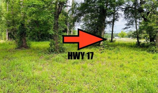 Photo #12 of 9985 Highway 17 North, McClellanville, SC 4.7 acres