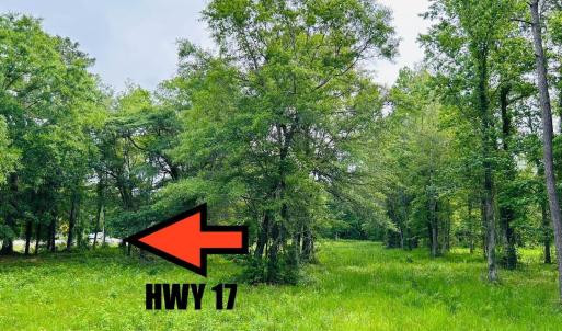 Photo #17 of 9985 Highway 17 North, McClellanville, SC 4.7 acres