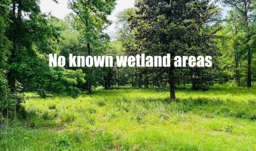 Photo #3 of 9985 Highway 17 North, McClellanville, SC 4.7 acres