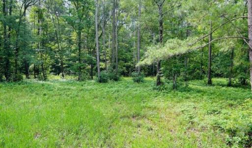 Photo #18 of 9985 Highway 17 North, McClellanville, SC 4.7 acres