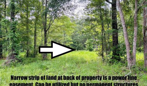 Photo #8 of 9985 Highway 17 North, McClellanville, SC 4.7 acres