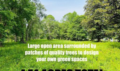 Photo #6 of 9985 Highway 17 North, McClellanville, SC 4.7 acres