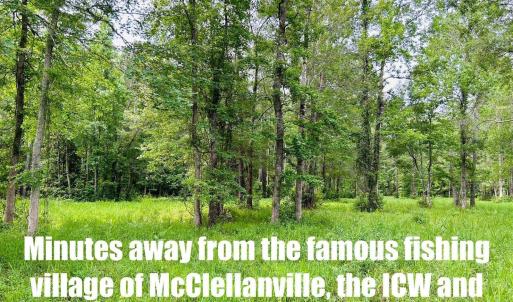 Photo #9 of 9985 Highway 17 North, McClellanville, SC 4.7 acres
