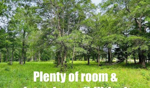 Photo #10 of 9985 Highway 17 North, McClellanville, SC 4.7 acres