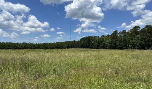 Photo #2 of TBD Martin Luther King Jr. Hwy., Kingstree, SC 17.0 acres