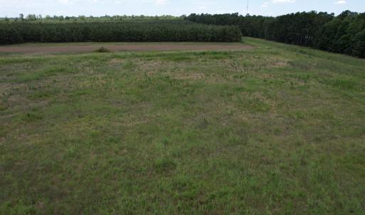 Photo #10 of TBD Martin Luther King Jr. Hwy., Kingstree, SC 17.0 acres