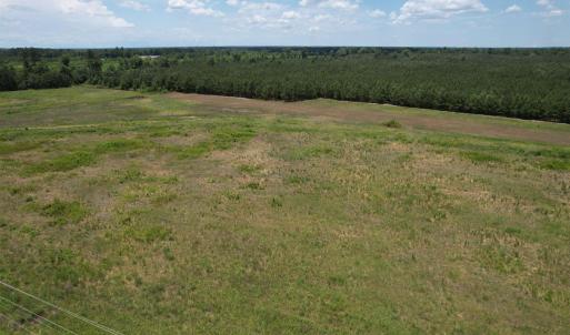 Photo #5 of TBD Martin Luther King Jr. Hwy., Kingstree, SC 17.0 acres