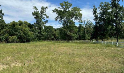 View of local wilderness