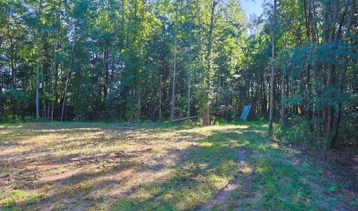 View of yard with a forest view