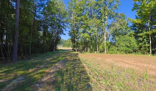 View of yard with a wooded view