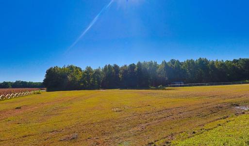 View of yard with a rural view