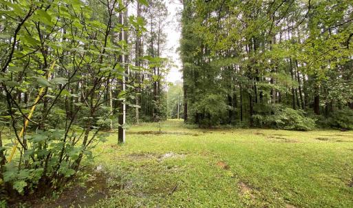Photo #5 of 4754 Highway 90, Conway, SC 4.6 acres