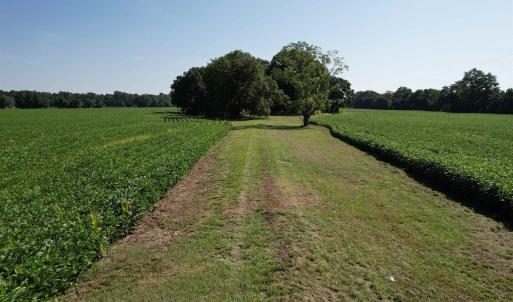 Photo #9 of TBD Sumter Hwy., Kingstree, SC 33.5 acres