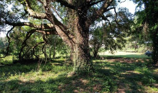 Photo #13 of TBD Sumter Hwy., Kingstree, SC 33.5 acres