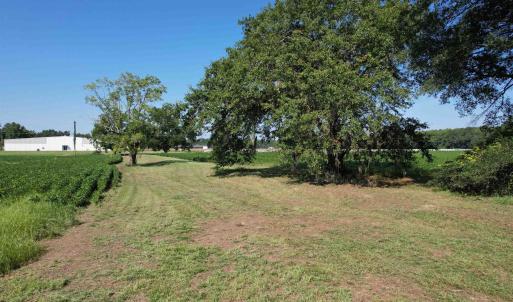 Photo #8 of TBD Sumter Hwy., Kingstree, SC 33.5 acres